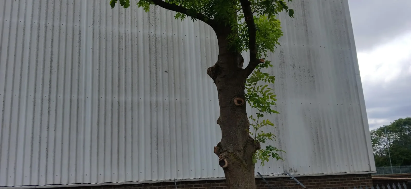 AJB Group warehouse before cleaning - 20+ years of weathering, Corby