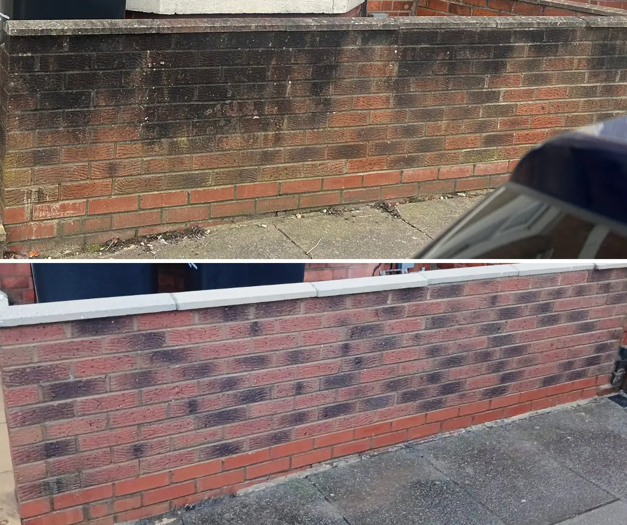 Low brick garden wall before and after cleaning, heavy black algae staining removed to expose red brick and white coping