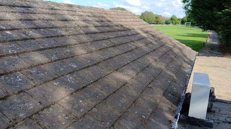 Bird droppings covering a residential roof surface around solar panels - showing the extent of contamination that reduces panel efficiency