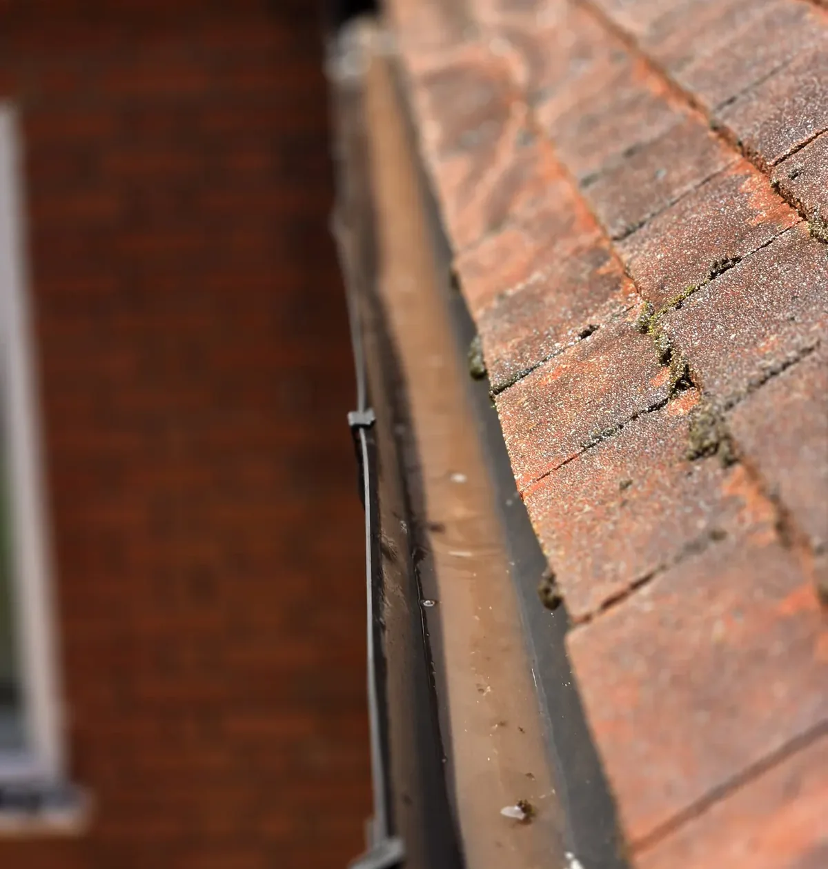 Close-up of a Luton roof edge and gutter line with moss and debris before clearing