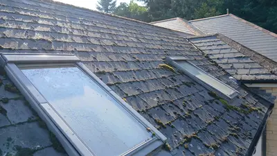 Care Home Roof Cleaning - Chinnor, Oxfordshire (September 2024) - photo 20
