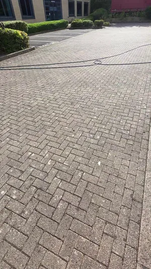 commercial car park herringbone block paving algae moss staining