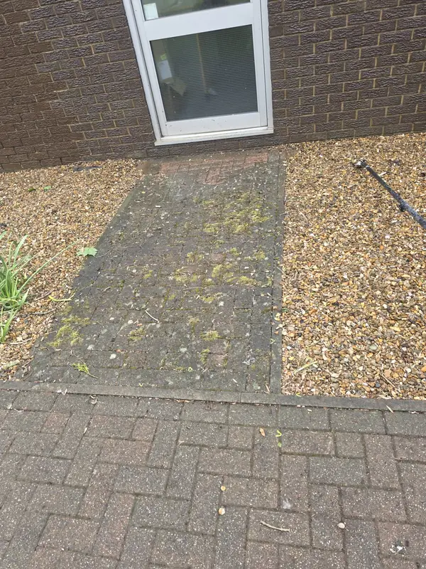 Large concrete paving slab beside a side door with dense green moss colonising the gravel border around it