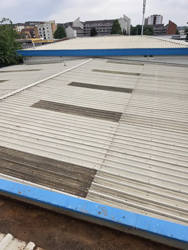 Panoramic view of the front roof from the cherry-picker basket showing wide brown-black lichen patches across cream corrugated panels