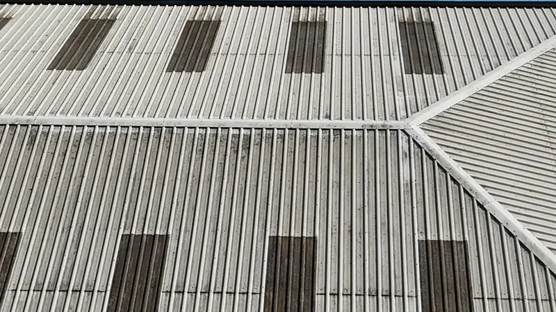 Close oblique drone view of corrugated metal roof panels showing rectangular lichen colonies on the clear skylight panels