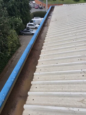 Before - commercial building box gutter heavy debris organic growth rust, Northampton.