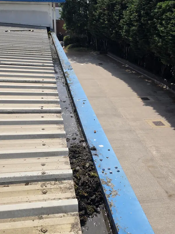 The same gutter section viewed from a more oblique angle with adjacent trees and the wall context visible
