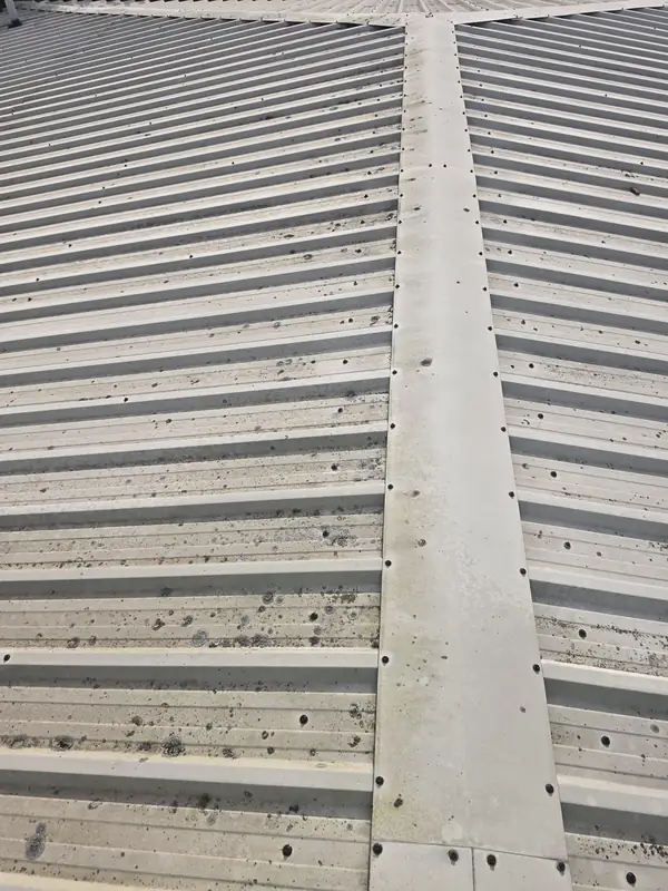 Strictly vertical top-down view of the ridge joining two corrugated panel slopes with screw fixings and pale residual biocide spots