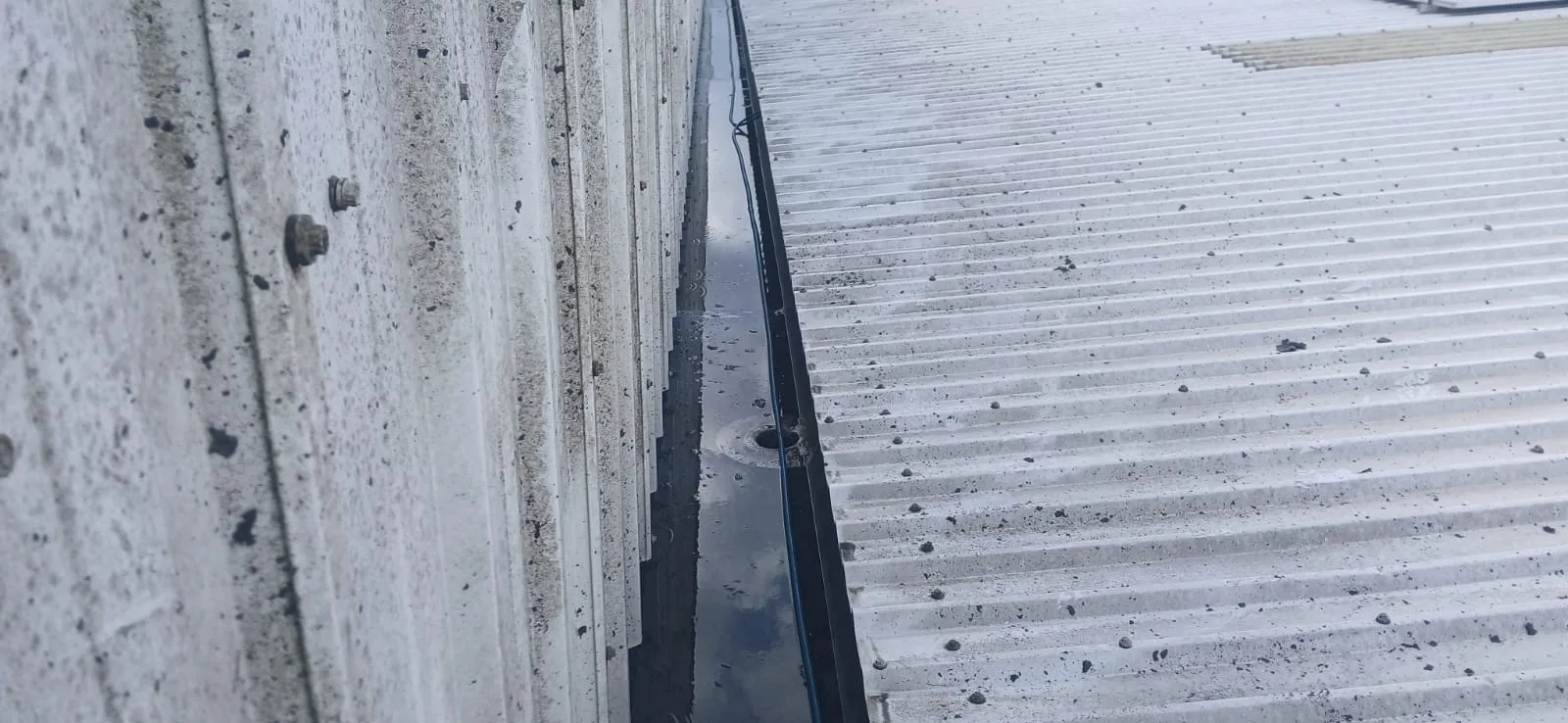 Partridges warehouse gutter before cleaning - debris and moss buildup in box gutters, Desborough