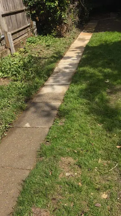 Sandstone patio after jet and steam cleaning - Luton