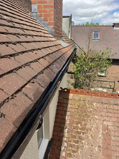 Close-up of clay roof tiles before cleaning, moss and algae in the joints - Luton