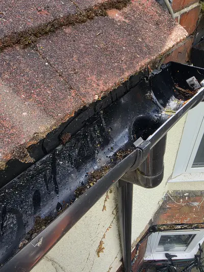 Black gutter blocked with moss and debris before clearance - Luton