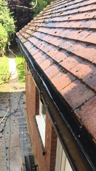 Clay tile roofline with moss, lichen and a debris-filled gutter before cleaning - Luton