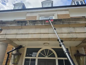 During - large residential property stone facade algae staining telescopic brush cleaning, Orlingbury.