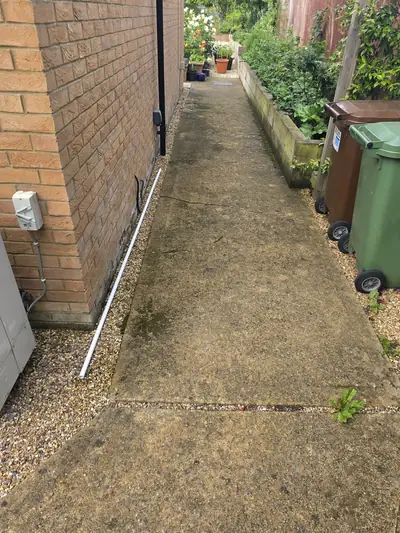 Painted render boundary wall covered in green algae before soft washing - Orlingbury