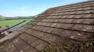 Mossy Roof Clean - Northampton (October 2024) - photo 1
