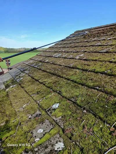 Mossy Roof Clean - Northampton (October 2024) - photo 10