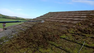 Mossy Roof Clean - Northampton (October 2024) - photo 12