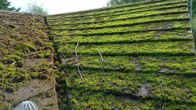 Mossy Roof Clean - Northampton (October 2024) - photo 14