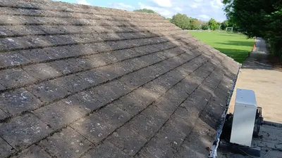 Mossy Roof Clean - Northampton (October 2024) - photo 15