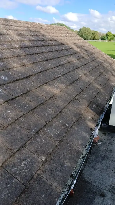 Mossy Roof Clean - Northampton (October 2024) - photo 16