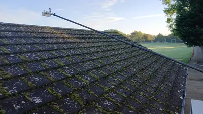 Mossy Roof Clean - Northampton (October 2024) - photo 17