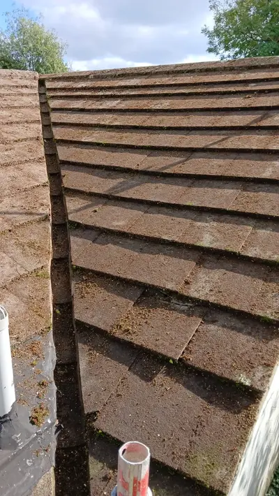 Mossy Roof Clean - Northampton (October 2024) - photo 18