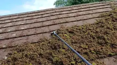 Mossy Roof Clean - Northampton (October 2024) - photo 2