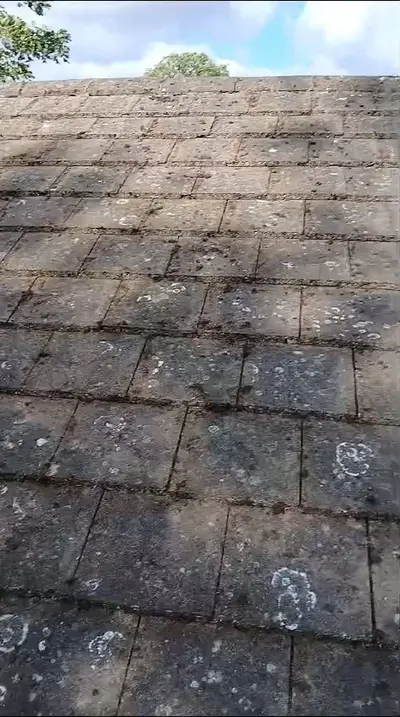 Mossy Roof Clean - Northampton (October 2024) - photo 4