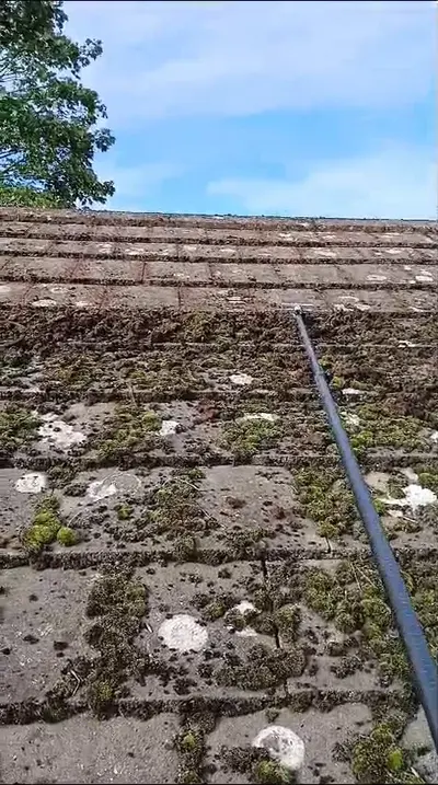 Mossy Roof Clean - Northampton (October 2024) - photo 6