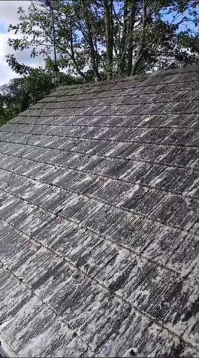 Mossy Roof Clean - Northampton (October 2024) - photo 7