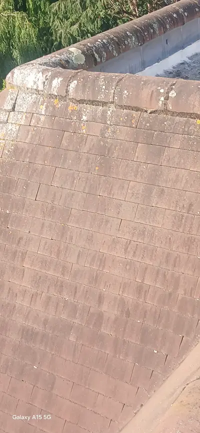 Private Mansion Roof and Skylight Cleaning - Harrow (July 2025) - photo 11