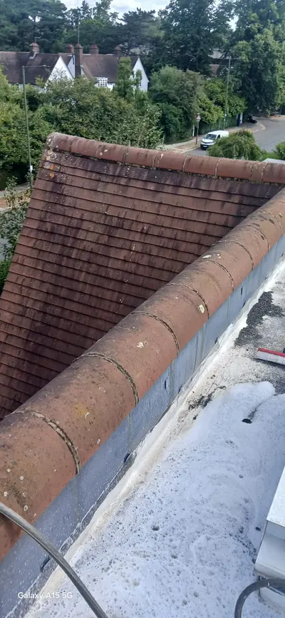 Private Mansion Roof and Skylight Cleaning - Harrow (July 2025) - photo 2