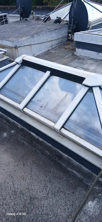 Private Mansion Roof and Skylight Cleaning - Harrow (July 2025) - photo 20