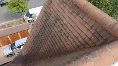 Private Mansion Roof and Skylight Cleaning - Harrow (July 2025) - photo 24