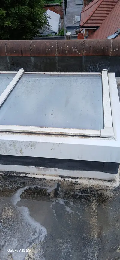 Private Mansion Roof and Skylight Cleaning - Harrow (July 2025) - photo 26