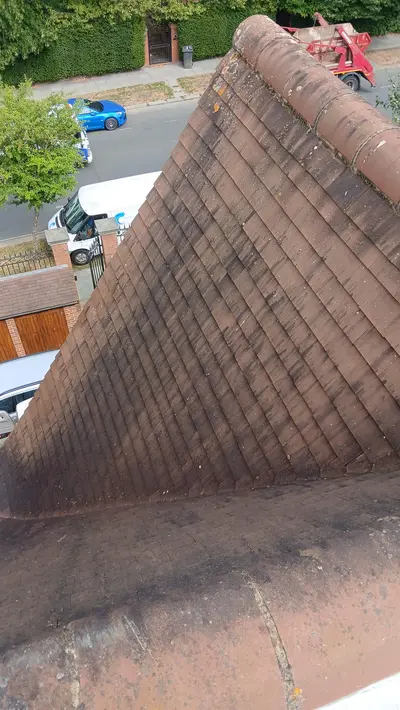 Private Mansion Roof and Skylight Cleaning - Harrow (July 2025) - photo 29