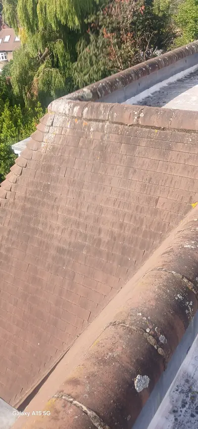 Private Mansion Roof and Skylight Cleaning - Harrow (July 2025) - photo 3