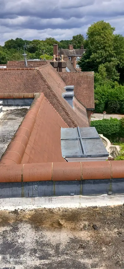 Private Mansion Roof and Skylight Cleaning - Harrow (July 2025) - photo 33