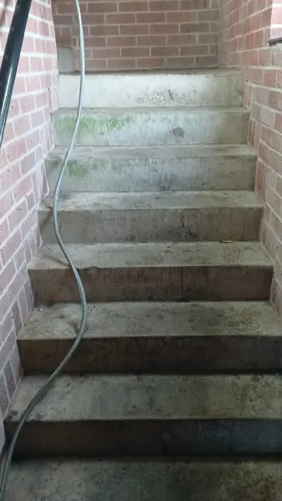 Residential Block Management Exterior Cleaning - Northampton (March 2026) - photo 16