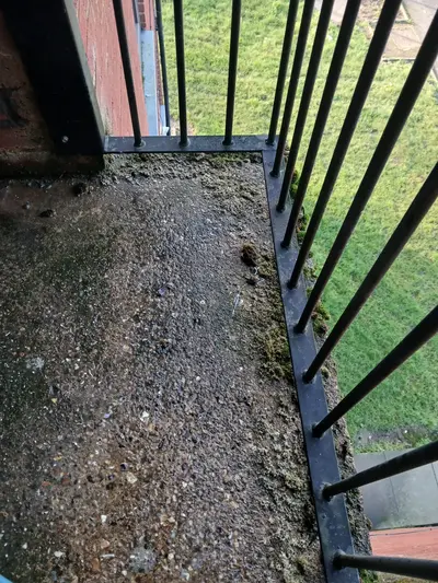 Residential Block Management Exterior Cleaning - Northampton (March 2026) - photo 19