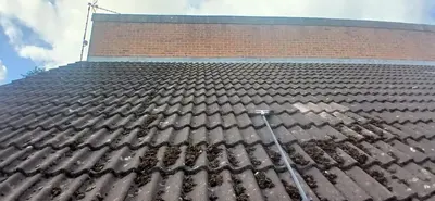 Residential Roof Cleaning - Clay and Concrete Tiles, Northampton (September 2025 - January 2026) - photo 10