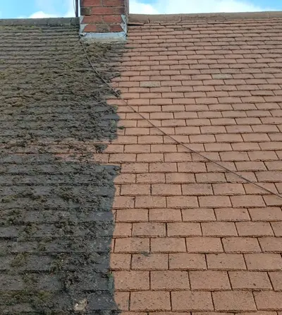 Residential Roof Cleaning - Clay and Concrete Tiles, Northampton (September 2025 - January 2026) - photo 11