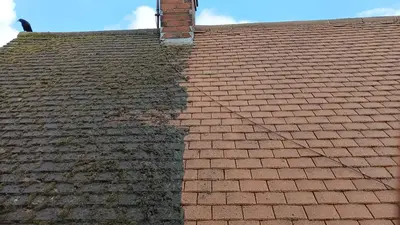 Residential Roof Cleaning - Clay and Concrete Tiles, Northampton (September 2025 - January 2026) - photo 12