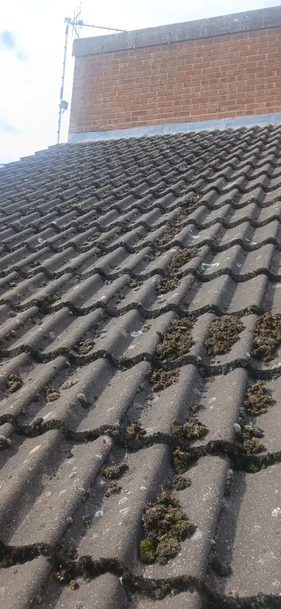 Residential Roof Cleaning - Clay and Concrete Tiles, Northampton (September 2025 - January 2026) - photo 3