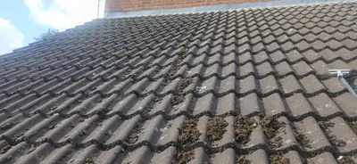 Residential Roof Cleaning - Clay and Concrete Tiles, Northampton (September 2025 - January 2026) - photo 5