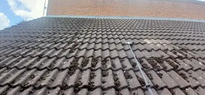 Residential Roof Cleaning - Clay and Concrete Tiles, Northampton (September 2025 - January 2026) - photo 6