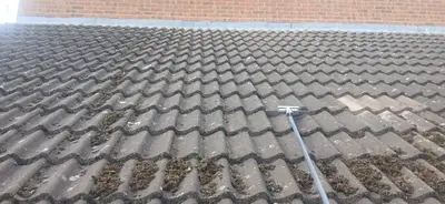 Residential Roof Cleaning - Clay and Concrete Tiles, Northampton (September 2025 - January 2026) - photo 7