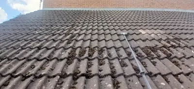 Residential Roof Cleaning - Clay and Concrete Tiles, Northampton (September 2025 - January 2026) - photo 8