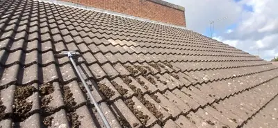 Residential Roof Cleaning - Clay and Concrete Tiles, Northampton (September 2025 - January 2026) - photo 9